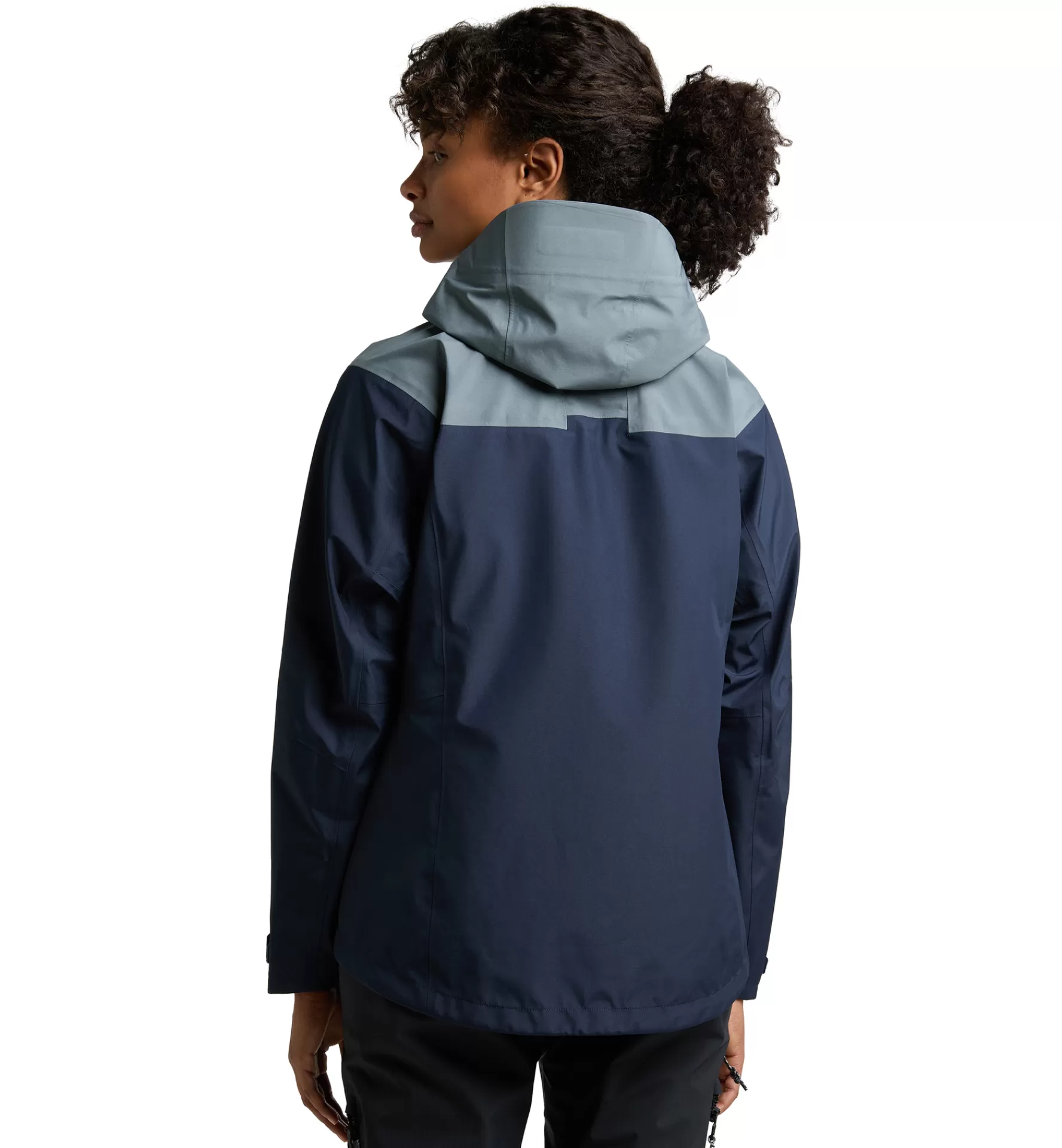 Best Haglöfs ROC Flash GTX Jacket Women Tarn blue/Steel blue